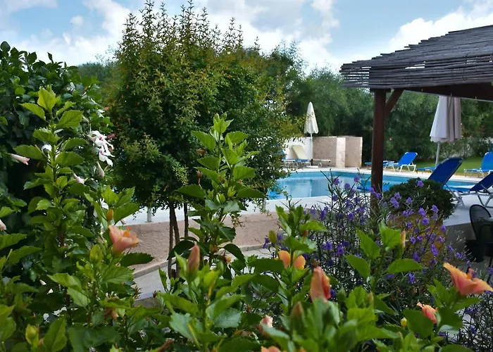 Eleonora αnissaras Chersonissos